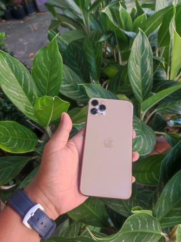 Iphone11 Pro Max សុំណុំសុីន all 97%