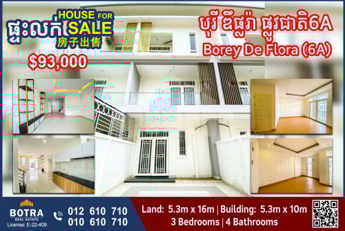 Linkhouse for Sale Borey De Flora, National Road 6A