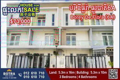 Linkhouse for Sale Borey De Flora, National Road 6A