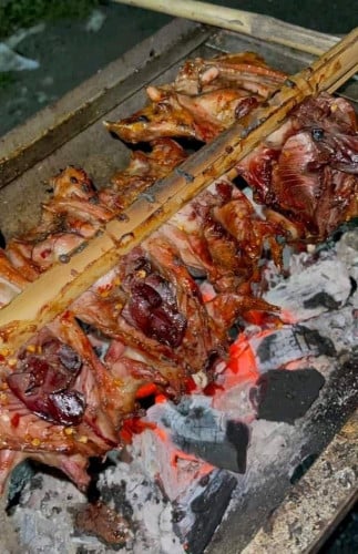 កណ្ដុរស្រែ