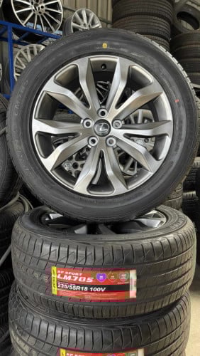 សំបកយ៉ាន់