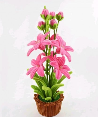 ផ្កាយថូរតូច