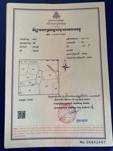 ដីលក់2ប្លង់ជាប់គ្នា