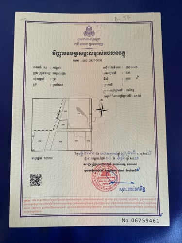 ដីឡូលក់20*31