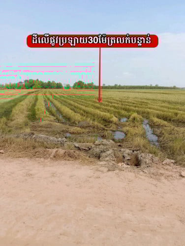 ដីលើផ្លូវប្រឡាយ30ម៉ែត្រលក់បន្ទាន់