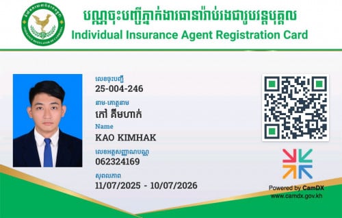 Agency insurance