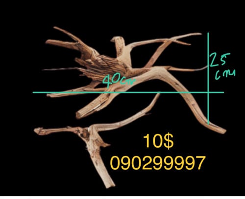 Driftwood for Fish Tank aquarium and Aquatics decoration and art.