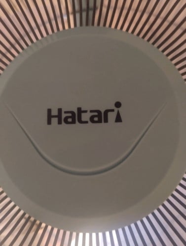 Hatari លៃឡុង