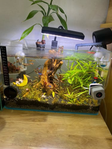 លក់ទូត្រីទាំងអស់នឹងសម្ភារះ