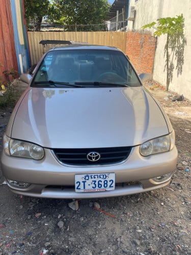 ឡានថ្មីបងប្អូន​