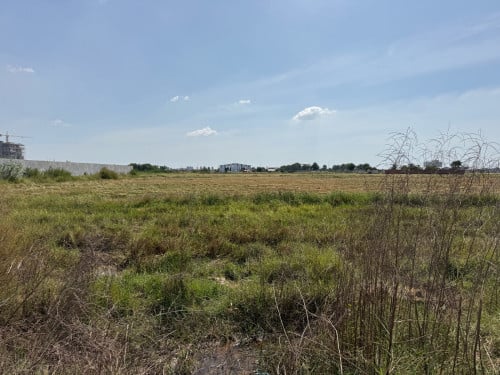 ដីលក់នៅជិតផ្លូវឌីប៉ុក និងផ្លូវបេតុងឃ្មួញ