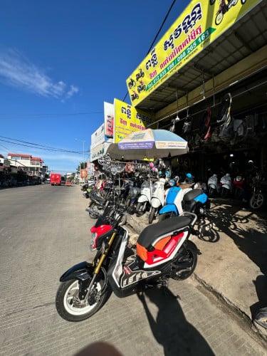 ហ្សូមើស្អាត កាតស៊ីន១០០%បងអូន នៅពន្លឺសុវណ្ណ