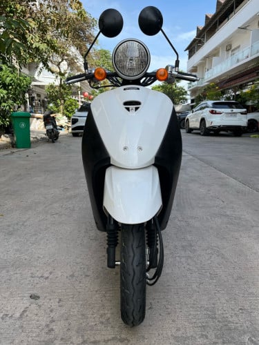 កូនទាជប៉ុនលក់