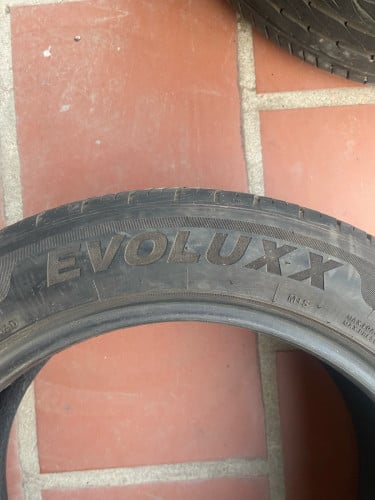 សំបកនៅស្អាត ដឺឡេ24