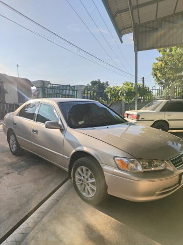 ឆ្លាមពណ៌មាសឆ្នាំ98លក់