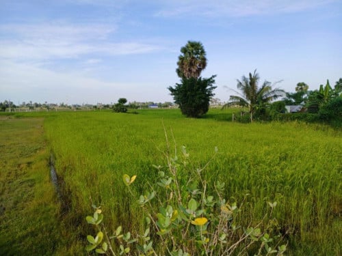 🏦Land for Urgent sale (Negotiable), ABA Loan Available