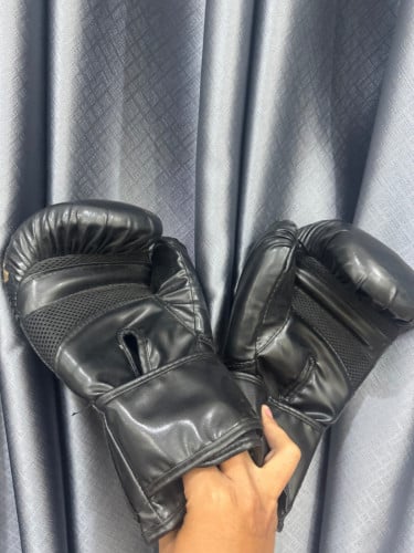 ហ្កង់  venum