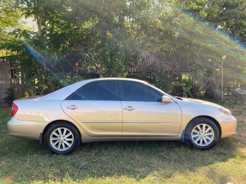 02LEកៅអីចុចAbsពោង8