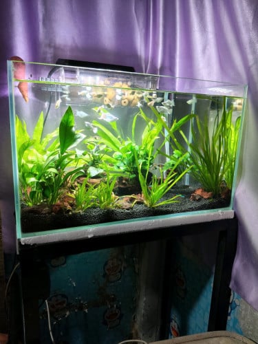 50×30×30 ultra មួយឆុត ទាំងជេីង