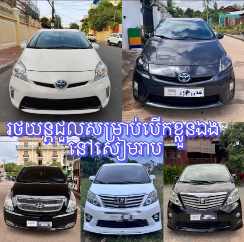 Car for rent ( រថយន្តសម្រាប់ជួល បើកខ្លួនឯង)