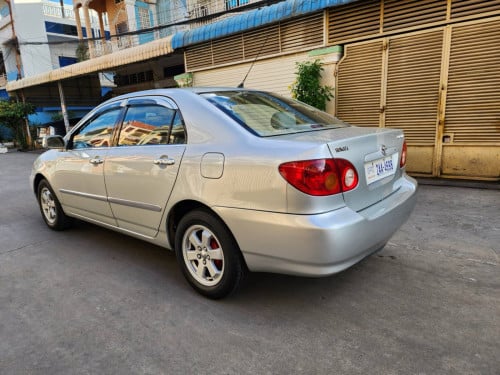 Corolla 03 បើកដំបូល