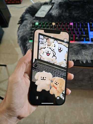 iPhone 12 Pro Max 256GB