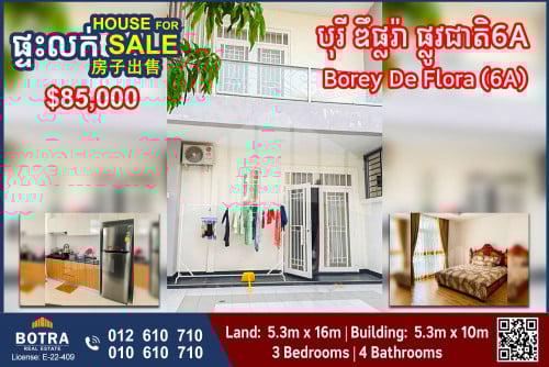 Linkhouse for Sale Borey De Flora, National Road 6A