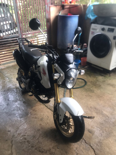 Msx 015 zin មានកាត