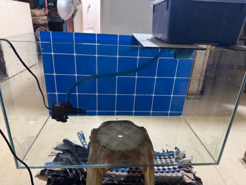 ទូរត្រីមួយទឹកនៅថ្មី