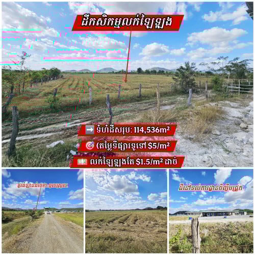 ដីកសិកម្មមុខកសិដ្ឋាន_បសេដ្ឋកំពង់ស្ពឺ_លក់ឡៃឡុង