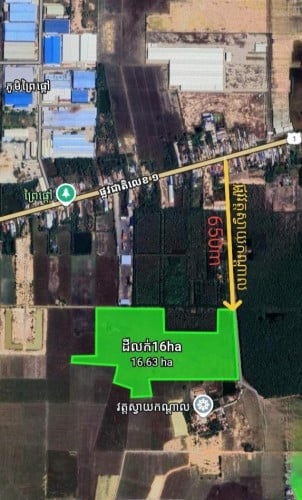 ដីសំរាប់លក់បន្ទាន់នៅលើផ្លូវ៥០ម៉ែត្រ