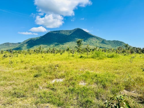 ដីជិតជើងភ្នំជាប់អូរនិងជាប់ផ្លូវរដ្ឋ