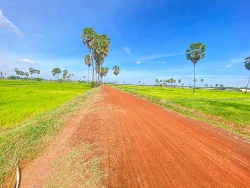 ដីលក់បន្ទាន់តម្លៃសែនធូរ