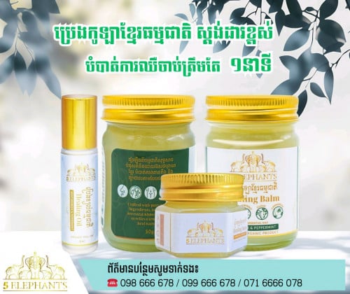 ប្រេងកូឡាសញ្ញាដំរី៥