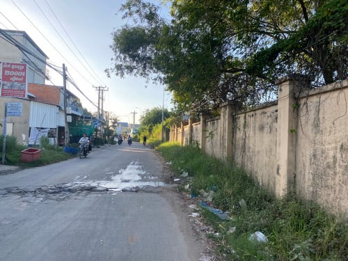 ប្លង់រឹង