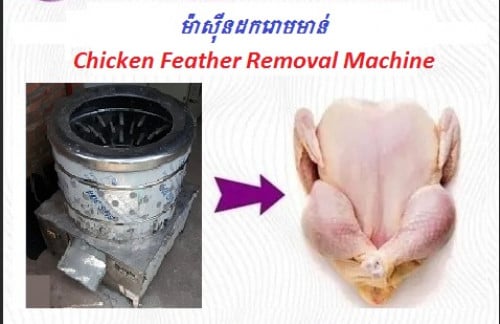 ម៉ាស៊ីនដករោមមាន់, Chicken Feather Removal Machine