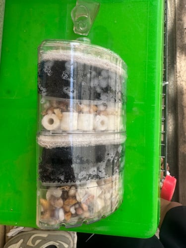 ឆ្ពុងfilter