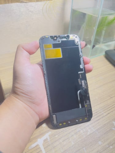 អេក្រង់ iPhone 12 និង 12 pro ថ្មី ដូច Zin