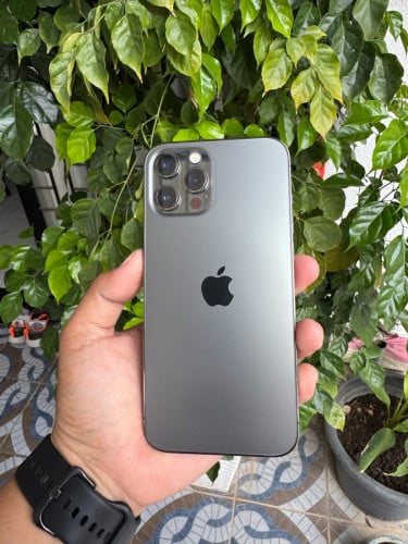 12 PM 256GB ស្អាត 98