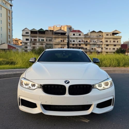 BMW 4Series 2014