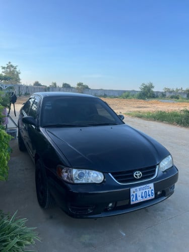 Corolla 99
