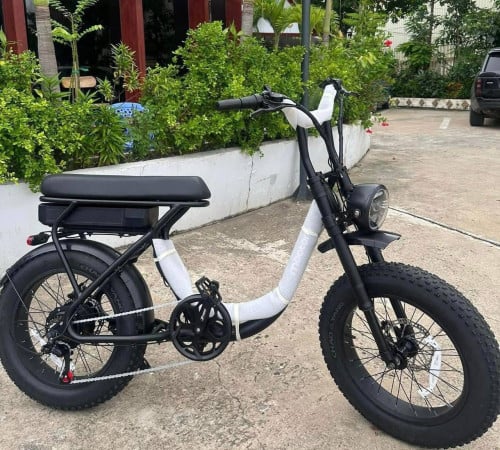 Electric bike ជិះបាន80kilo តំលៃ780$