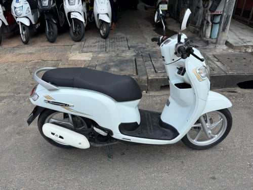Honda scooyi