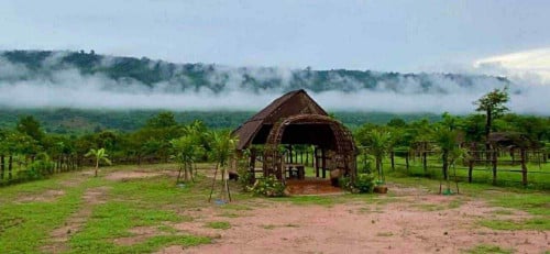 Land for sale 20-70 m Siem Reap