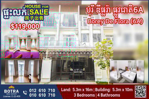 Linkhouse for Sale Borey De Flora, National Road 6A