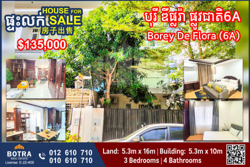 Linkhouse for Sale Borey De Flora, National Road 6A