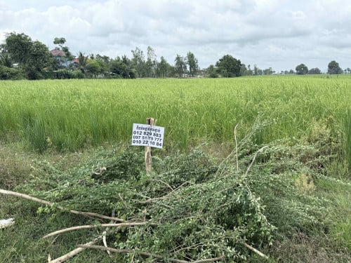 ដីលក់ បន្ទាន់