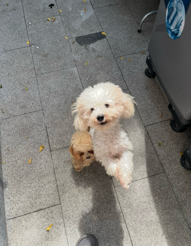 អត់ពេលចឹញ្ចឹមលក់ ចេះសំពះ