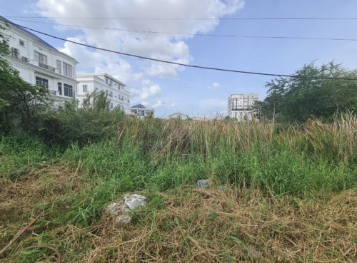 ដីលក់ ផ្លូវ10m សង្កាត់ទួលសង្កែ ខណ្ឌប្ញស្សីកែវ