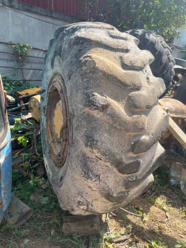 លក់សំបកកមួយទឹកង់លេខ20.5_25. តំលៃមួយគ្រាប់250$